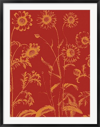Framed Chrysanthemum 16 Print