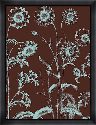 Framed Chrysanthemum 17 Print