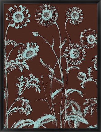 Framed Chrysanthemum 17 Print