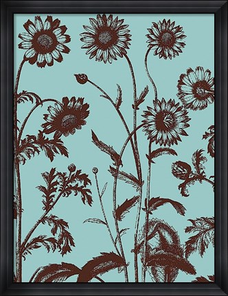 Framed Chrysanthemum 18 Print