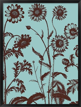 Framed Chrysanthemum 18 Print