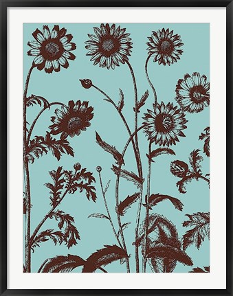Framed Chrysanthemum 18 Print