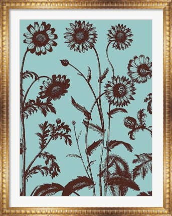 Framed Chrysanthemum 18 Print