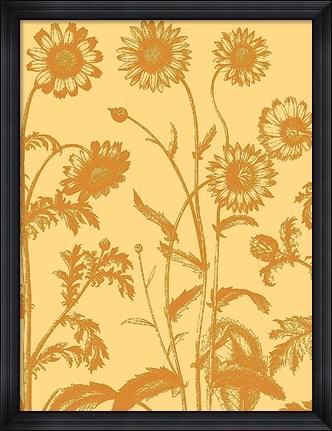 Framed Chrysanthemum 19 Print