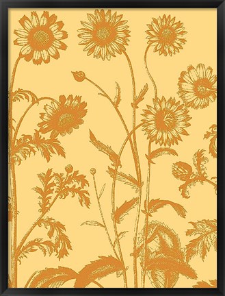 Framed Chrysanthemum 19 Print
