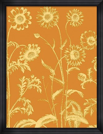 Framed Chrysanthemum 20 Print