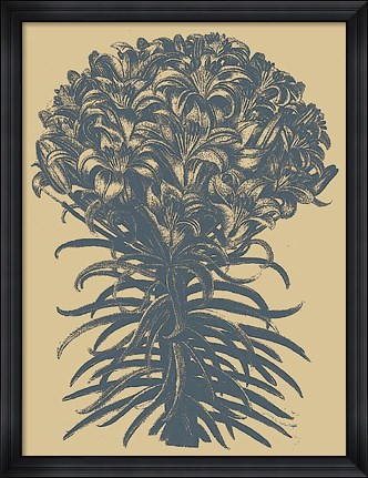 Framed Lilies 1 Print