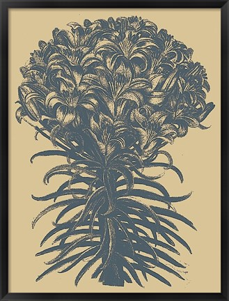 Framed Lilies 1 Print