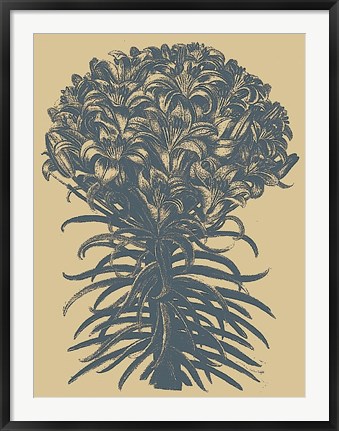 Framed Lilies 1 Print
