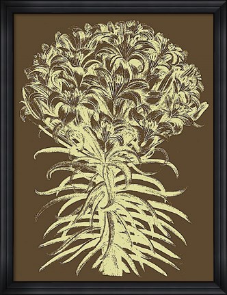 Framed Lilies 3 Print