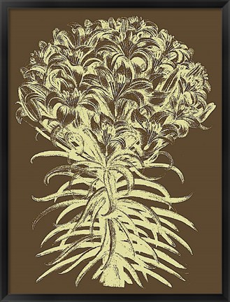 Framed Lilies 3 Print