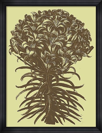 Framed Lilies 4 Print
