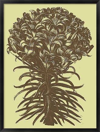 Framed Lilies 4 Print