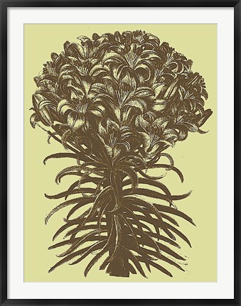 Framed Lilies 4 Print