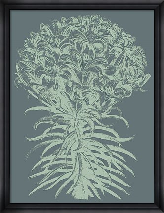 Framed Lilies 7 Print