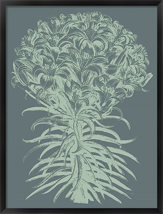 Framed Lilies 7 Print