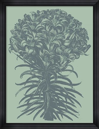 Framed Lilies 8 Print