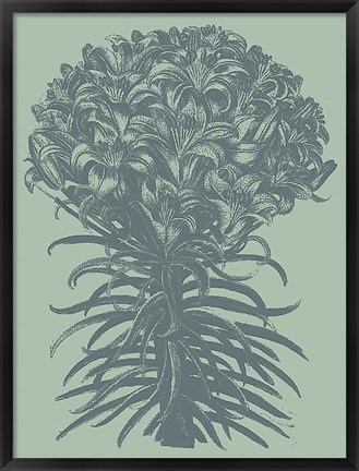 Framed Lilies 8 Print