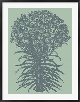 Framed Lilies 8 Print
