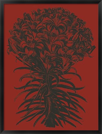 Framed Lilies 9 Print