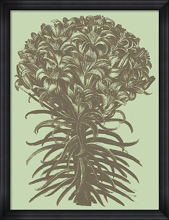 Framed Lilies 11 Print