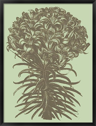 Framed Lilies 11 Print