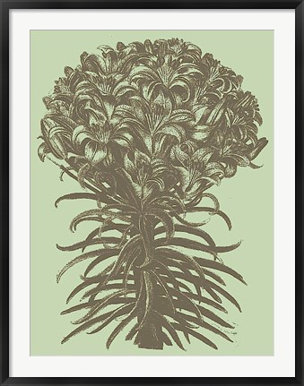 Framed Lilies 11 Print