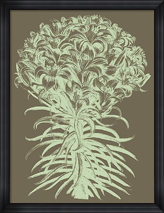 Framed Lilies 12 Print