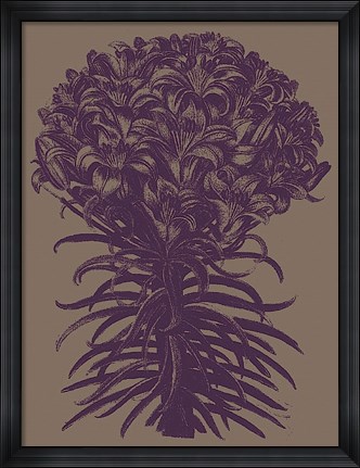 Framed Lilies 14 Print