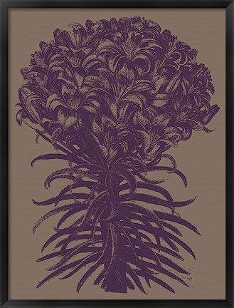 Framed Lilies 14 Print