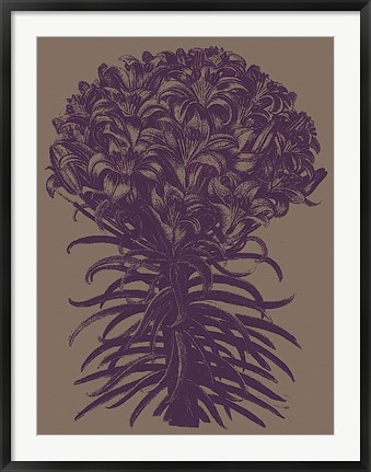 Framed Lilies 14 Print