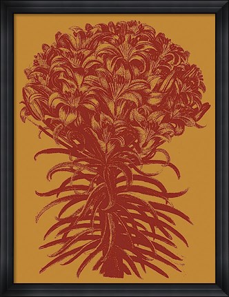 Framed Lilies 15 Print