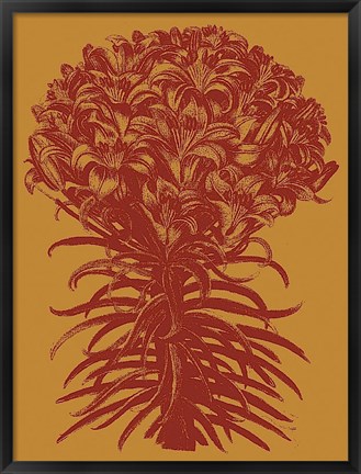 Framed Lilies 15 Print