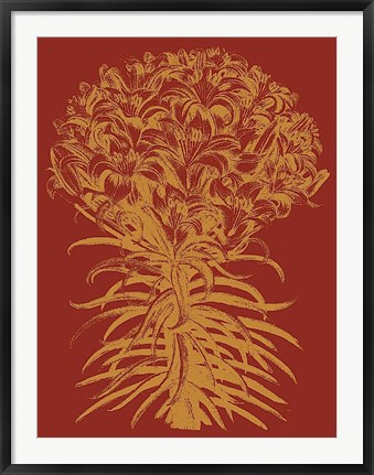 Framed Lilies 16 Print