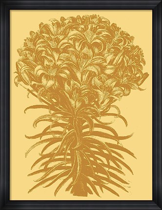 Framed Lilies 19 Print