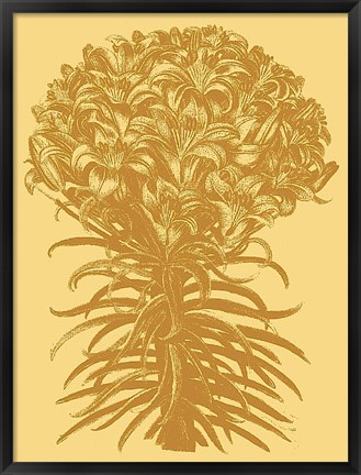 Framed Lilies 19 Print