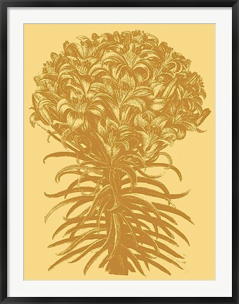 Framed Lilies 19 Print