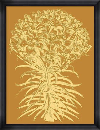 Framed Lilies 20 Print
