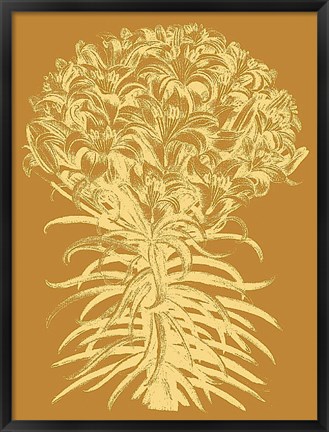 Framed Lilies 20 Print