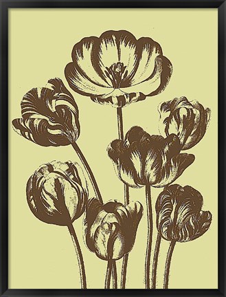 Framed Tulip 3 Print