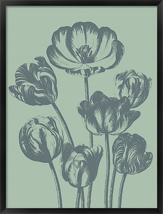 Framed Tulip 8 Print