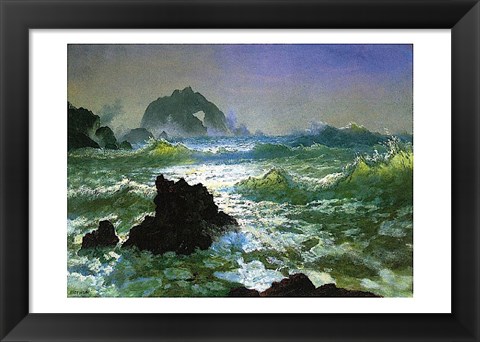 Framed Seal Rock Print