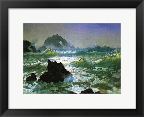 Framed Seal Rock Print