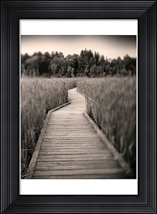 Framed Towards Woods Print