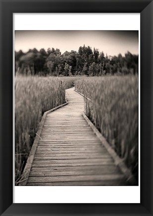 Framed Towards Woods Print