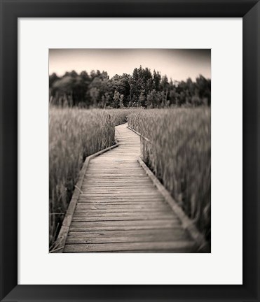 Framed Towards Woods Print