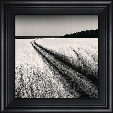 Framed Oceanside Field Print