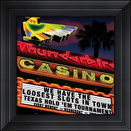 Framed Thunderbird Print