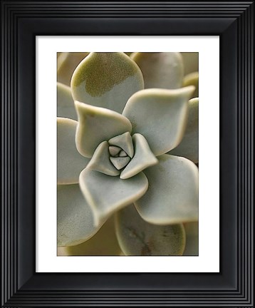 Framed Bronx 1921 Print