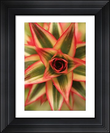 Framed Bronx 1959 Print